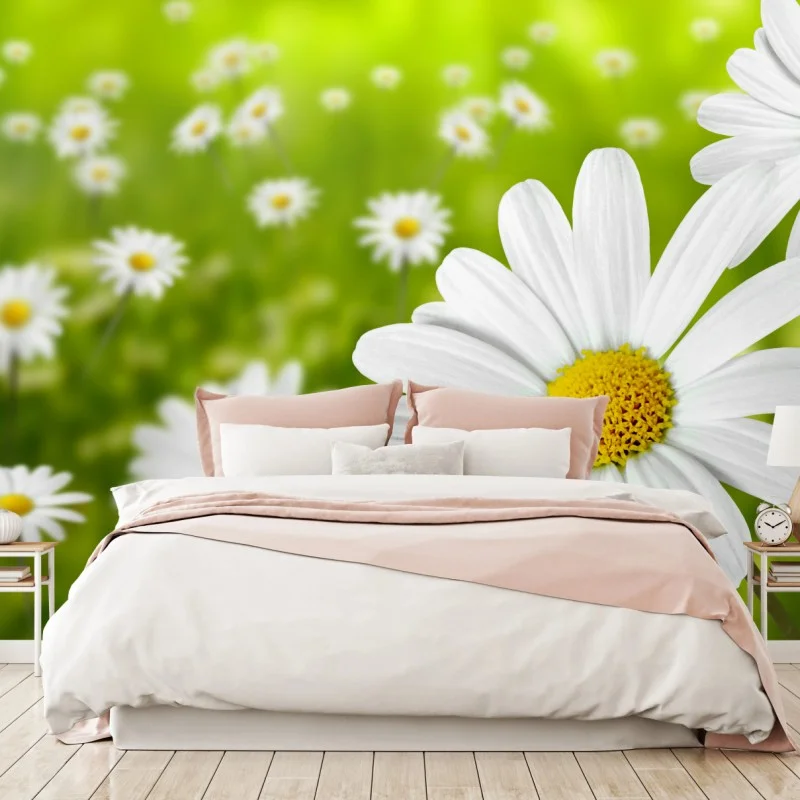 Carta da parati margherite in primo piano su sfondo verde