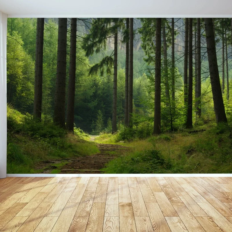Carta da parati sentiero nella foresta verde