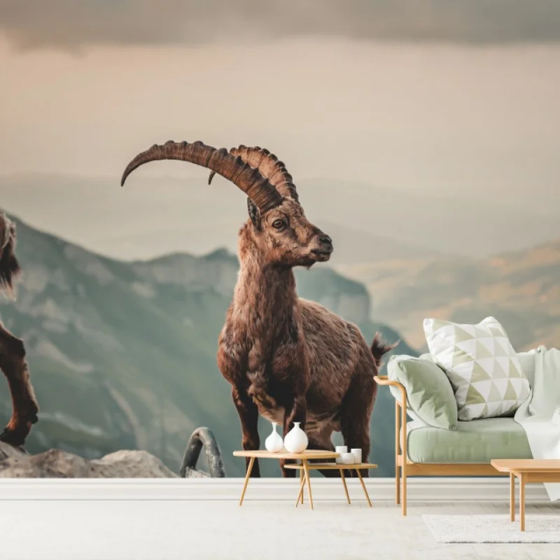 Carta da parati stambecco sulle creste rocciose al tramonto