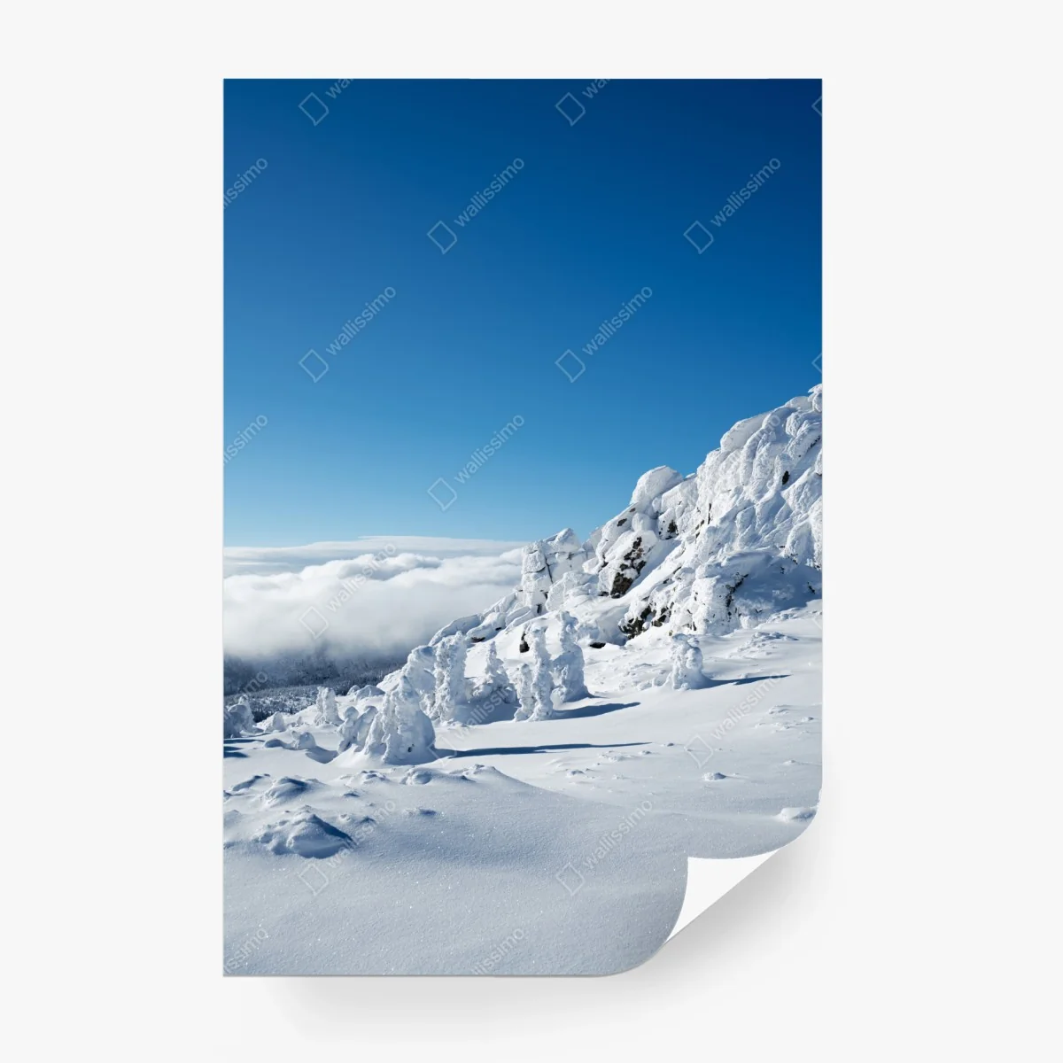 Carta da parati panorama invernale dalle cime innevate • Wallissimo®