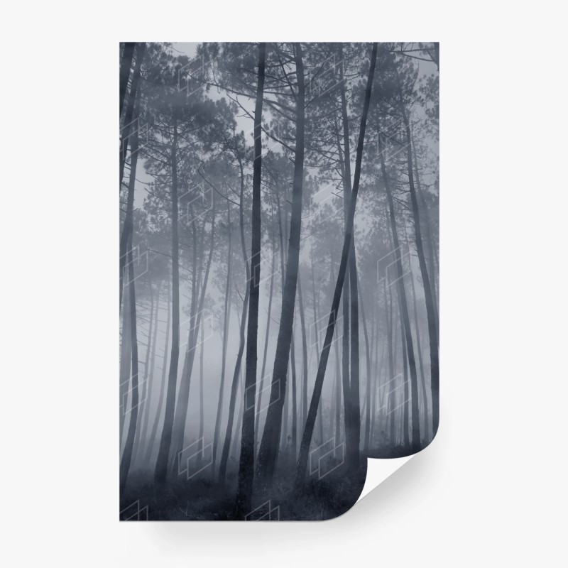 Carta da parati foresta di pini nella nebbia notturna