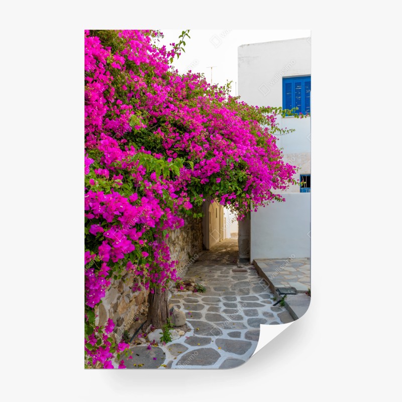 Carta da parati angolo fiorito di Naousa, Paros
