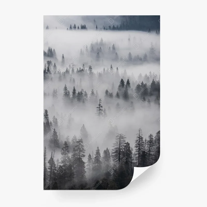 Carta da parati foresta avvolta nella nebbia