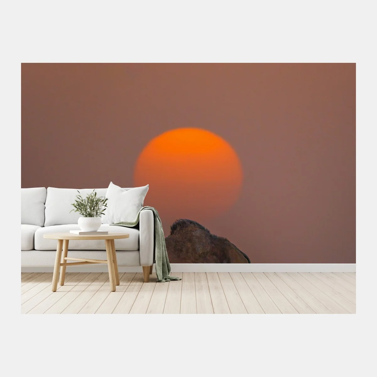 Carta da parati tramonto nel deserto con cammello e custode • Wallissimo® Carta da parati tramonto nel deserto con cammello e custode • Wallissimo®