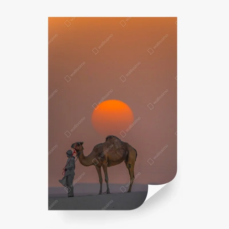 Carta da parati tramonto nel deserto con cammello e custode