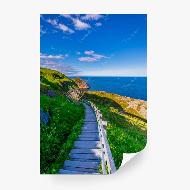 Carta da parati • Wallissimo®