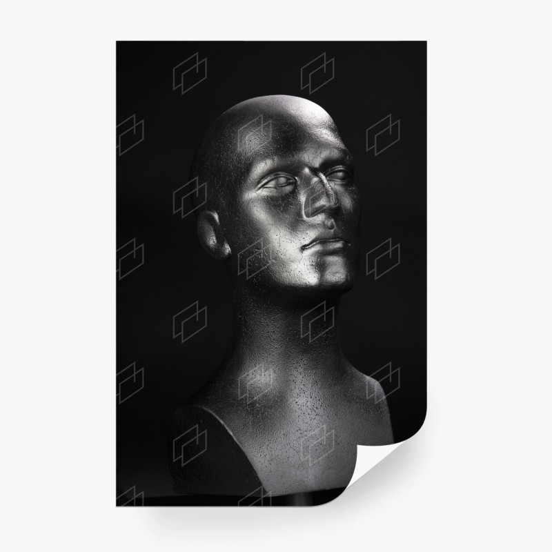 Carta da parati busto scultoreo in nero minimalista