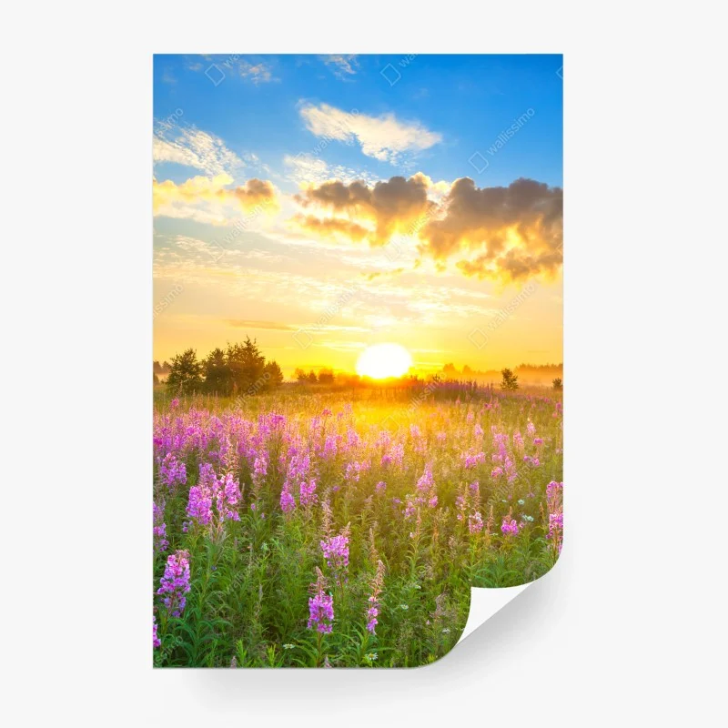 Carta da parati alba dorata sul prato fiorito • Wallissimo®