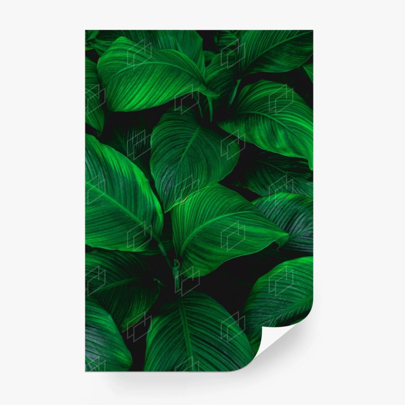Carta da parati oasi verde: foglie tropicali in primo piano