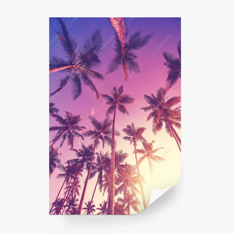 Carta da parati sotto le palme al tramonto