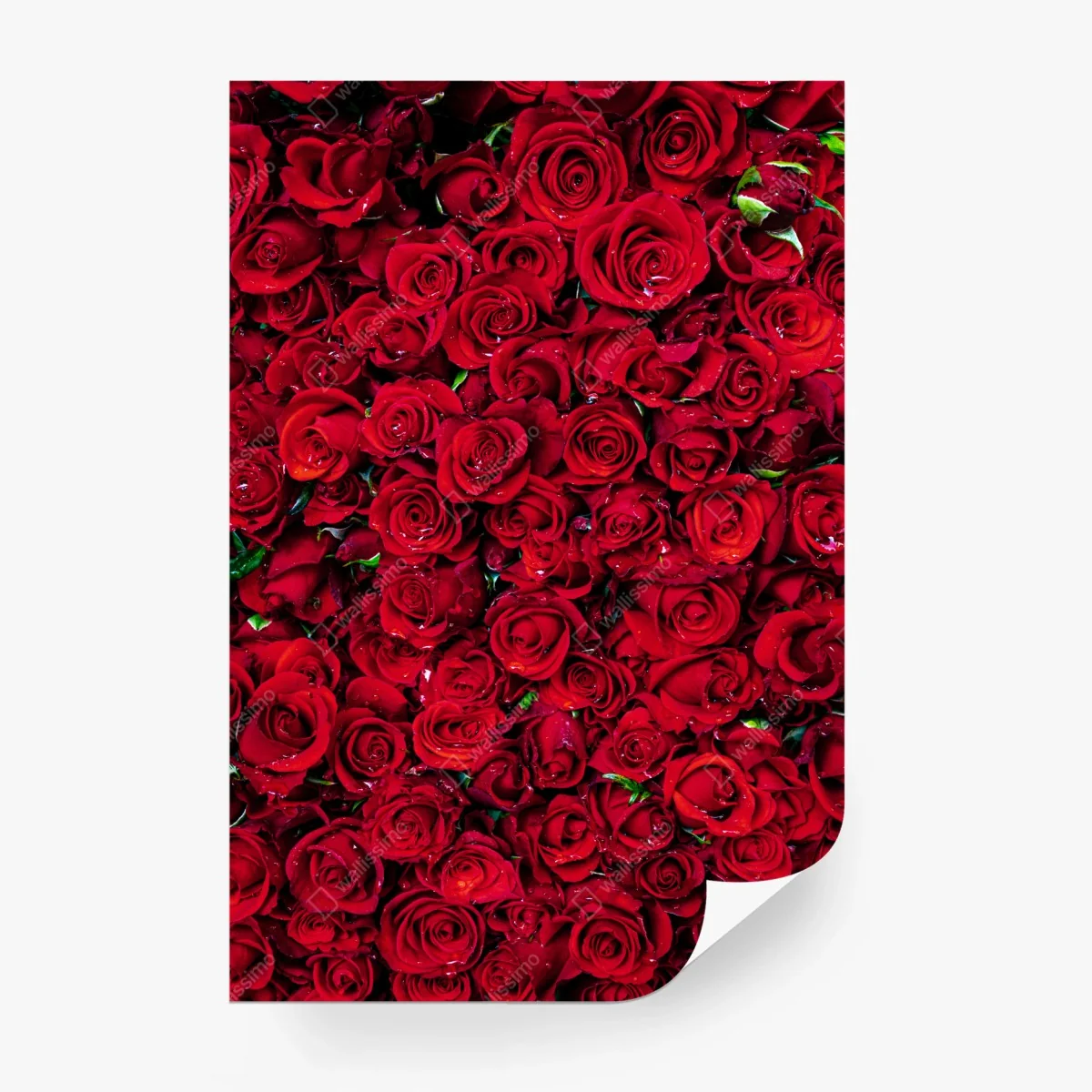 Carta da parati mosaico di rose rosse per un'atmosfera romantica • Wallissimo® Carta da parati mosaico di rose rosse per un'atmosfera romantica • Wallissimo®