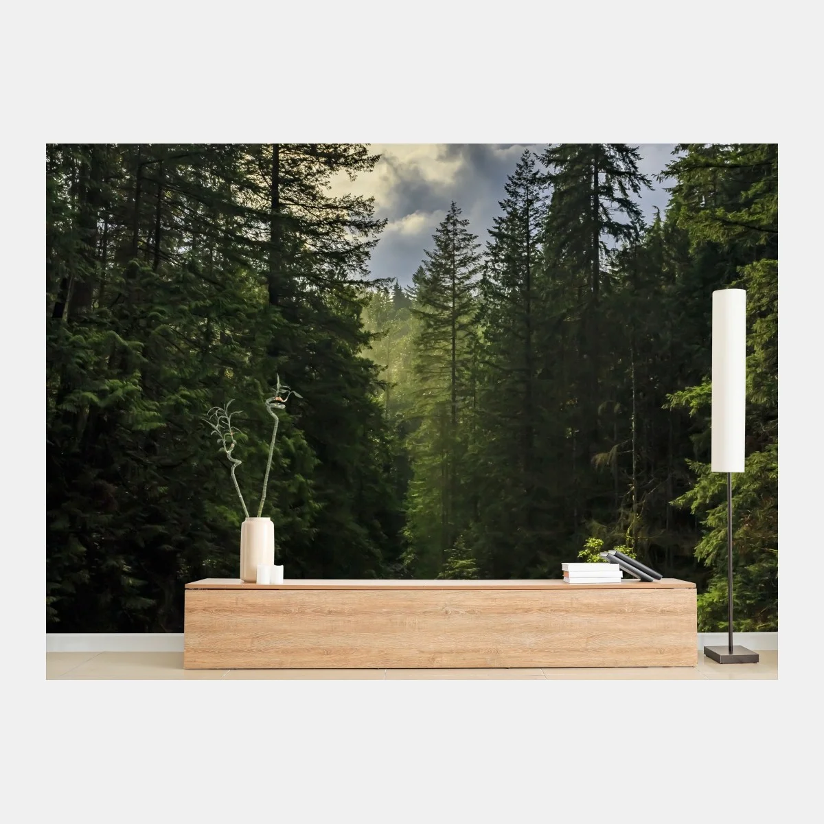 Carta da parati luce dorata nella gola della foresta • Wallissimo® Carta da parati luce dorata nella gola della foresta • Wallissimo®