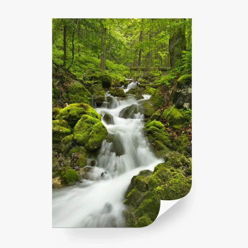 Carta da parati cascata di smeraldo nella foresta di Slovenský Raj