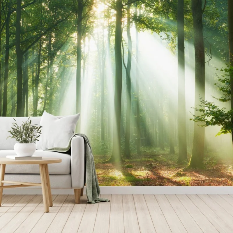 Carta da parati mattino nel bosco: raggi di luce tra gli alberi