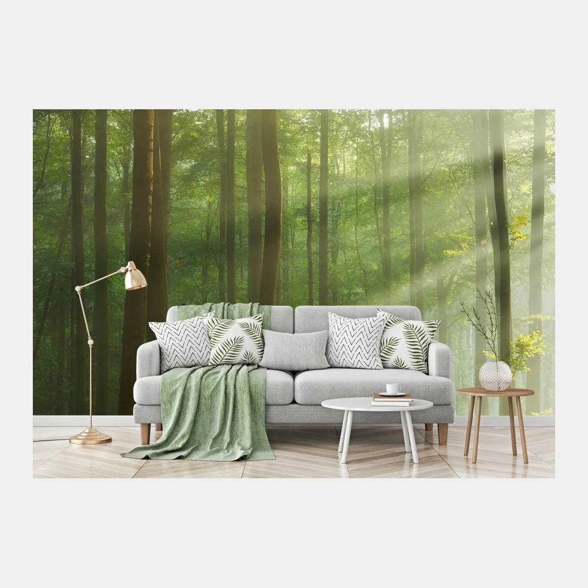 Carta da parati mattina autunnale nella foresta antica • Wallissimo® Carta da parati mattina autunnale nella foresta antica • Wallissimo®