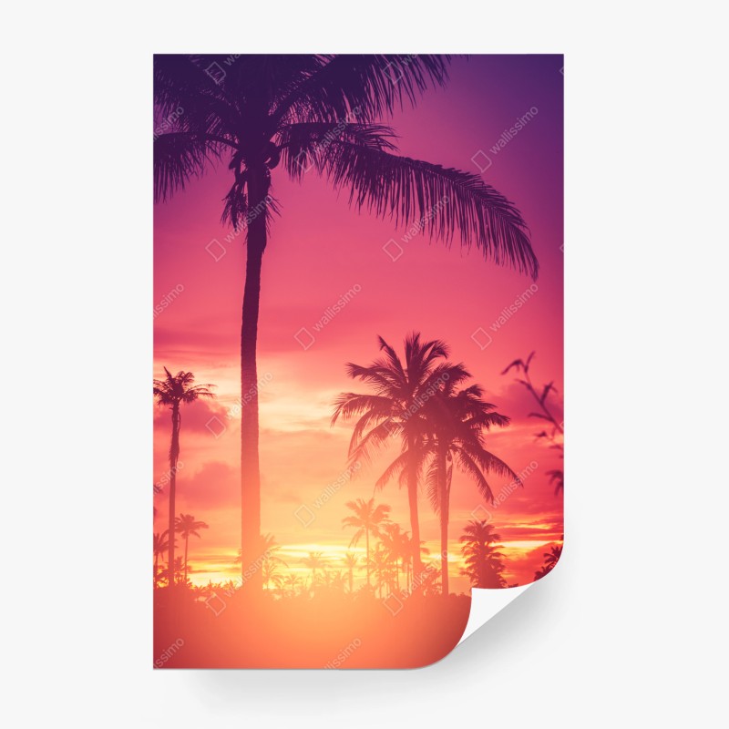 Carta da parati tramonto tropicale in silhouette