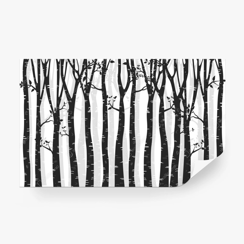 Carta da parati foresta di betulle in bianco e nero