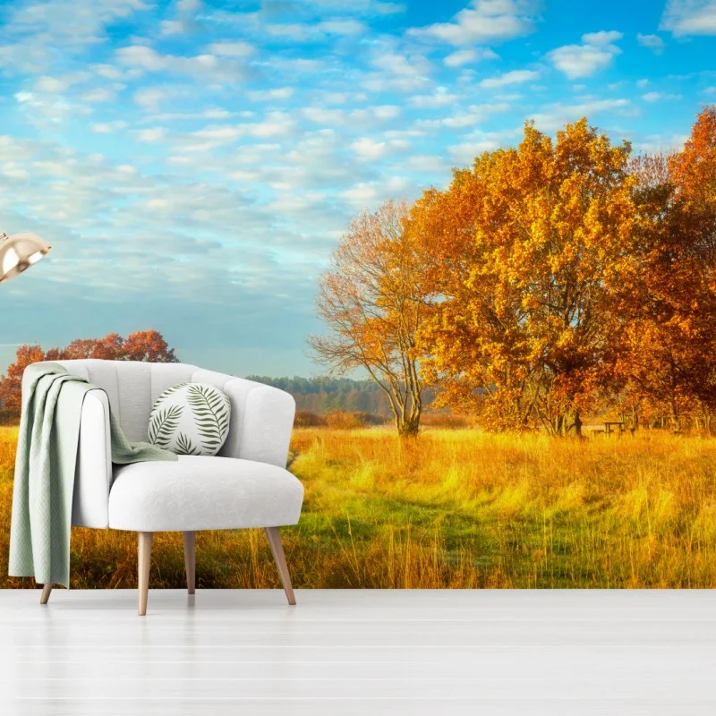 Carta da parati mattina d'autunno nel prato dorato