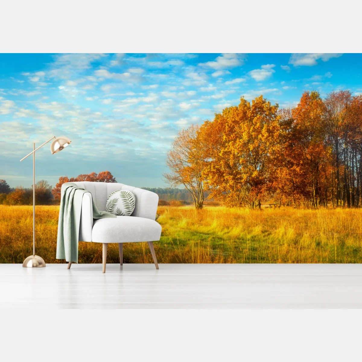 Carta da parati mattina d'autunno nel prato dorato • Wallissimo® Carta da parati mattina d'autunno nel prato dorato • Wallissimo®