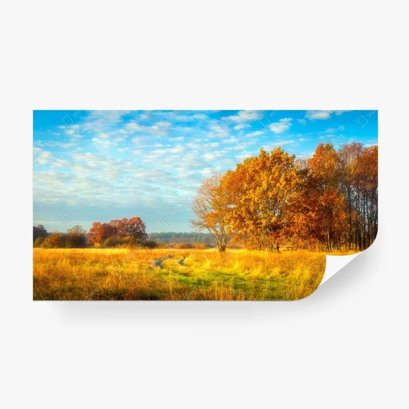 Carta da parati mattina d'autunno nel prato dorato