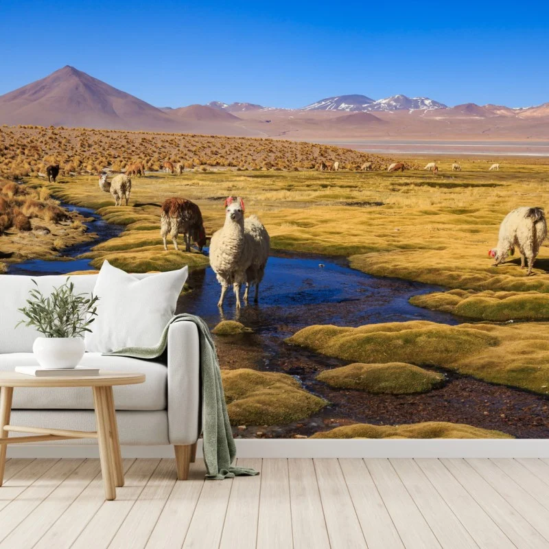 Carta da parati lama sull'altopiano delle Ande