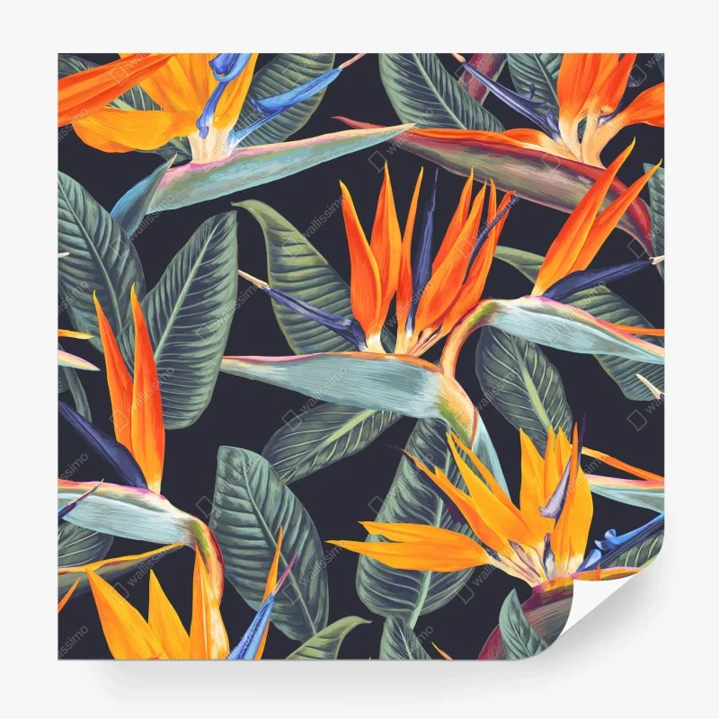 Carta da parati motivo tropicale con uccello del paradiso su sfondo scuro