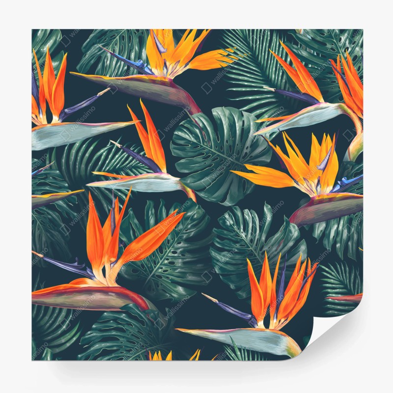 Carta da parati tropicale fiori di paradiso e foglie monstera