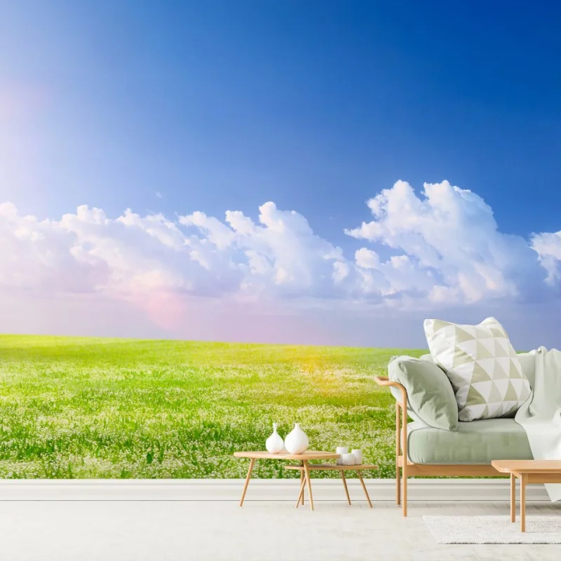 Carta da parati prato primaverile sotto il cielo azzurro
