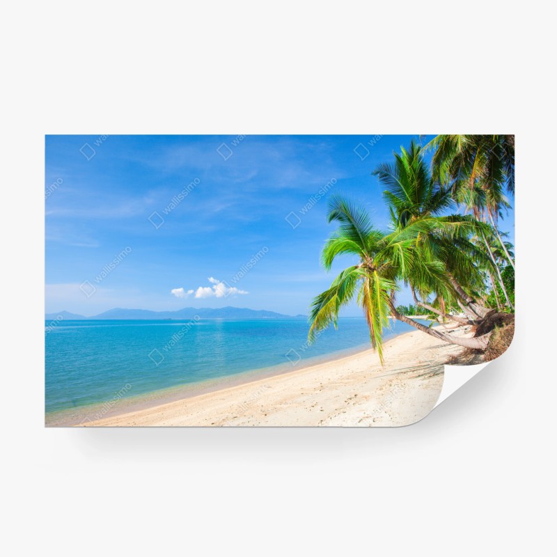 Carta da parati spiaggia tropicale con palme e mare turchese
