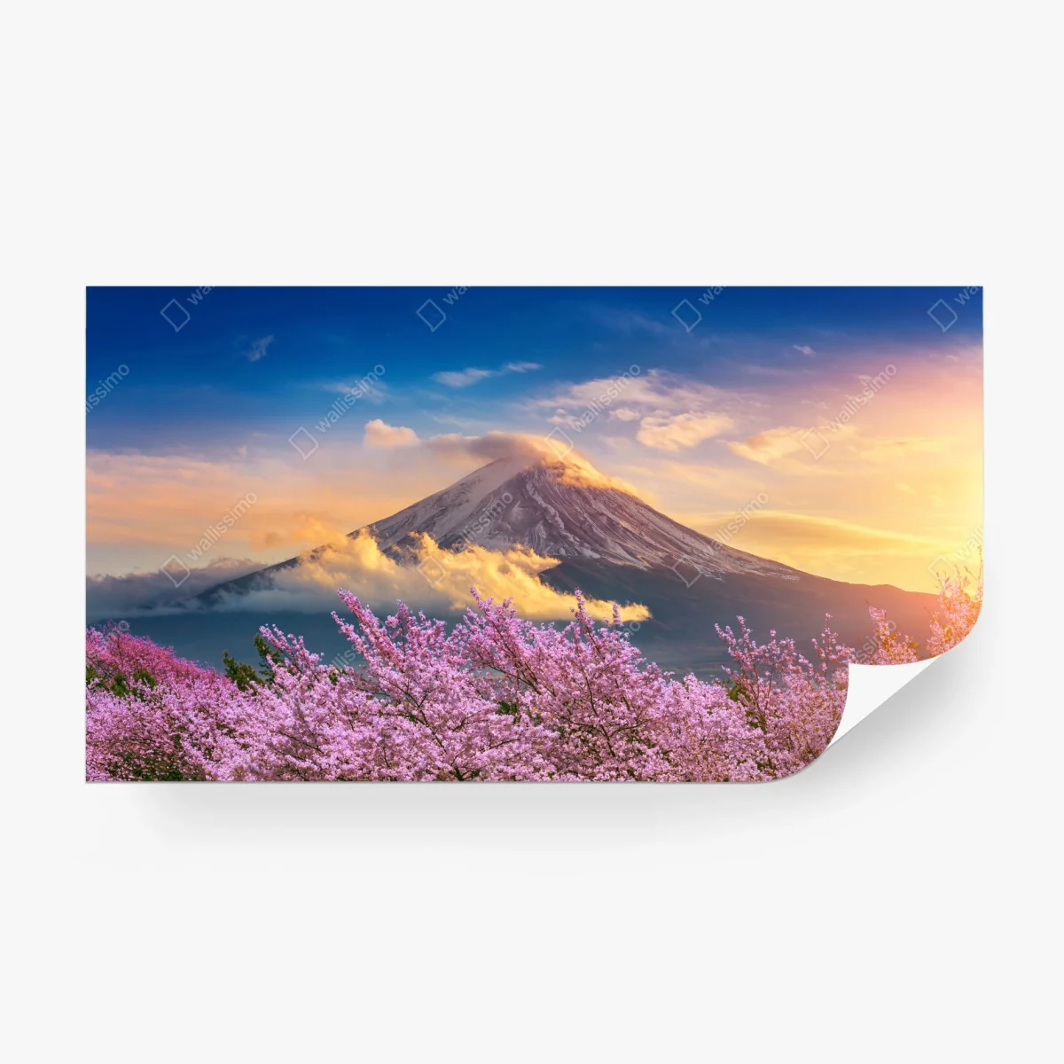 Carta da parati risveglio primaverile a Monte Fuji • Wallissimo® Carta da parati risveglio primaverile a Monte Fuji • Wallissimo®