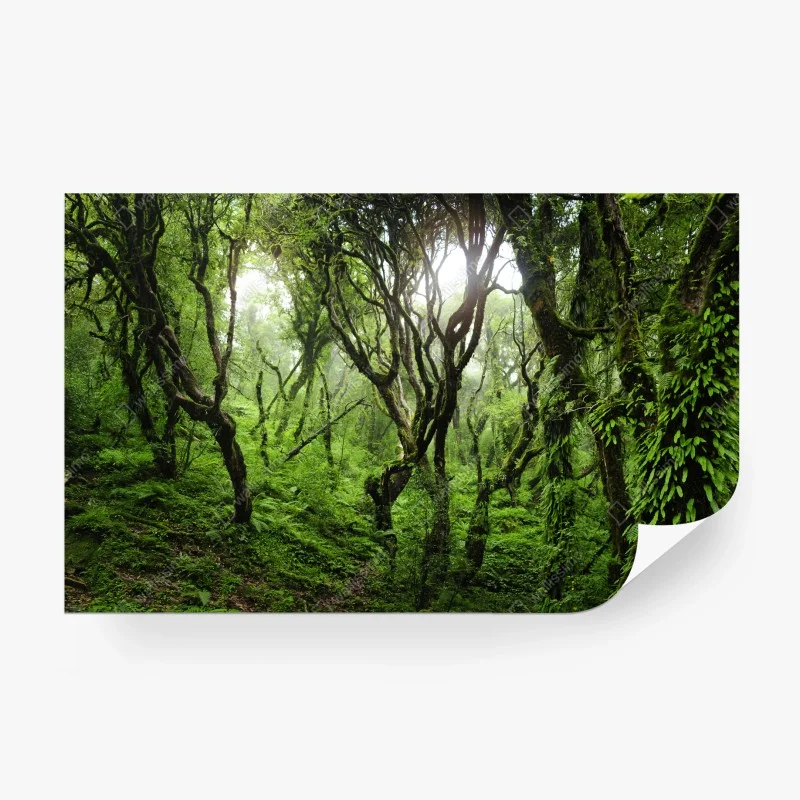 Carta da parati foresta incantata di muschio e felci