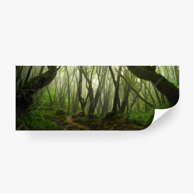 Carta da parati foresta incantata nella nebbia