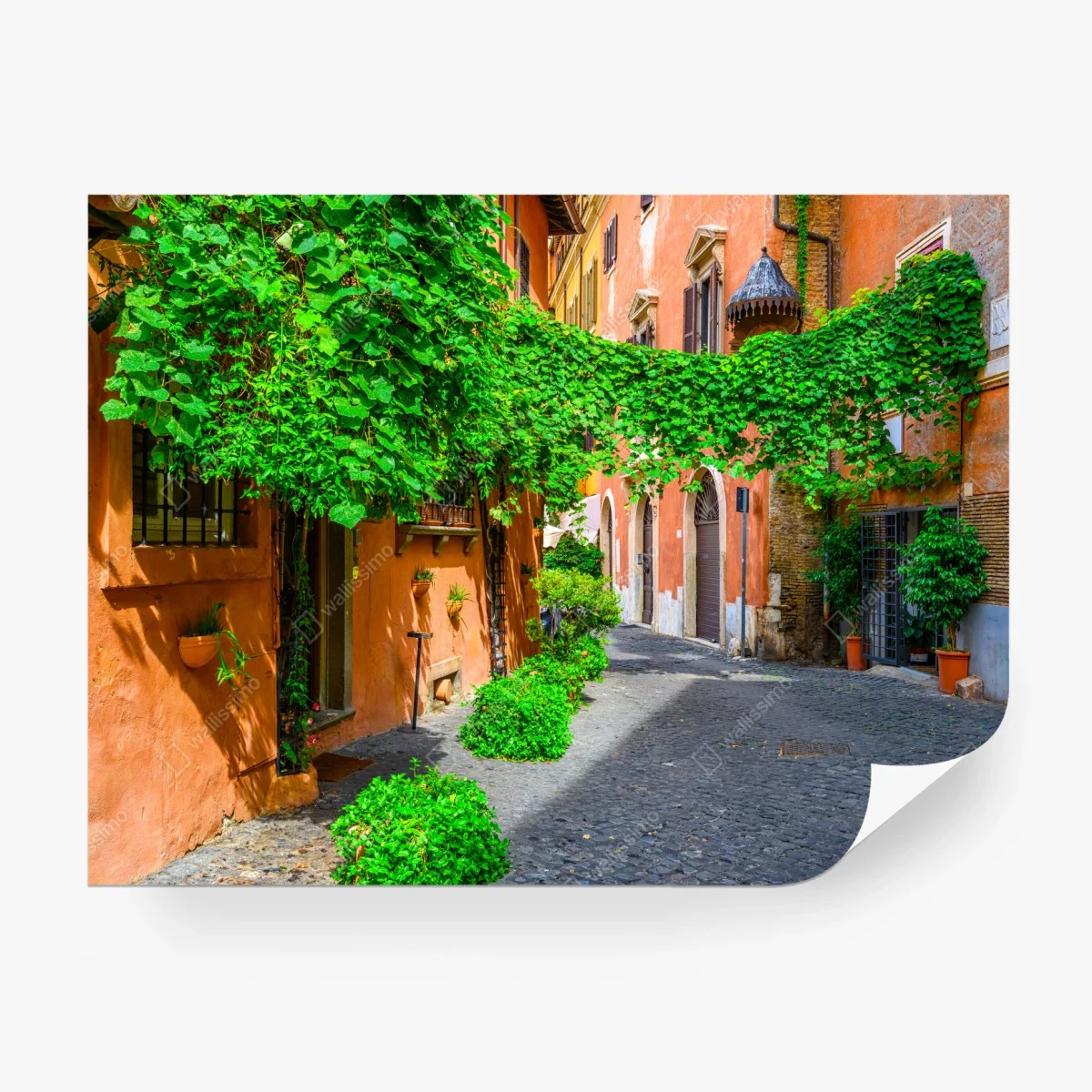 Carta da parati angolo fiorito a Trastevere • Wallissimo®