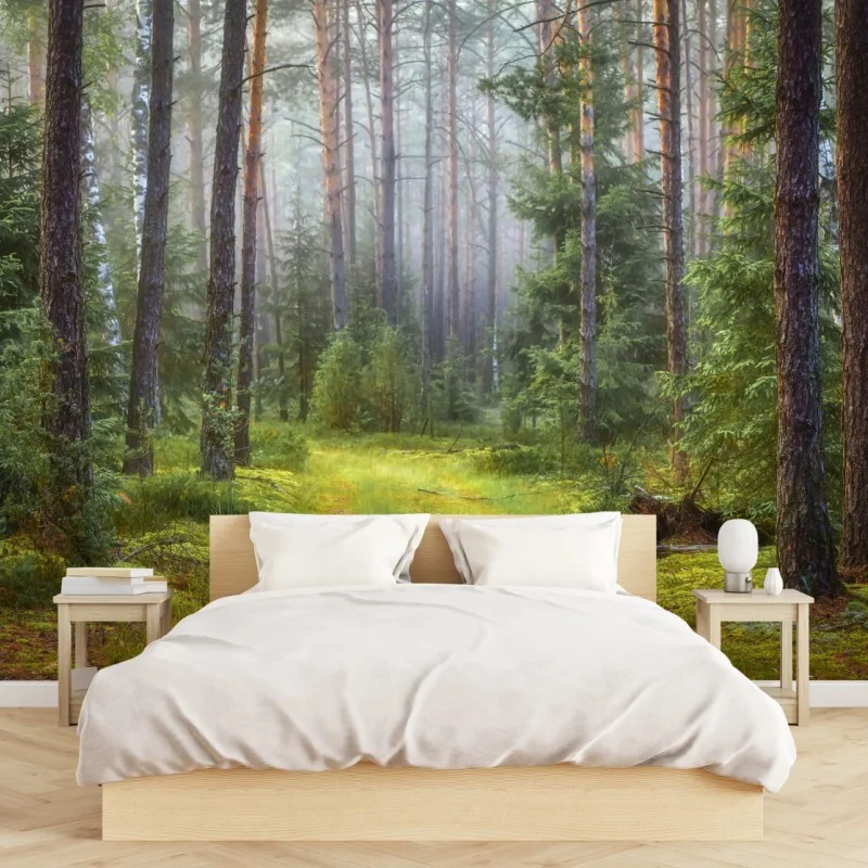 Carta da parati rifugio di luce nella foresta