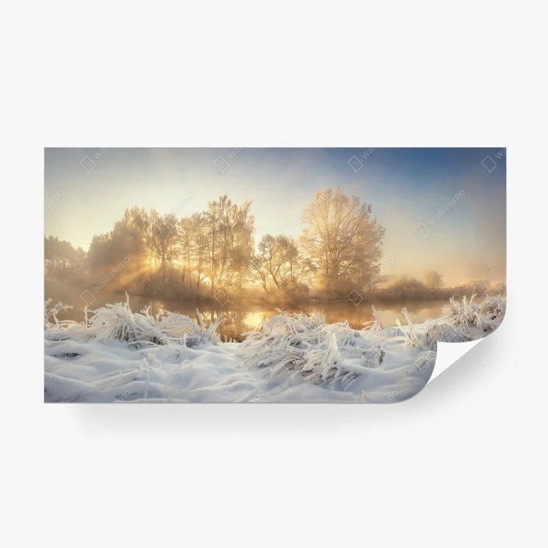 Carta da parati alba invernale sul fiume