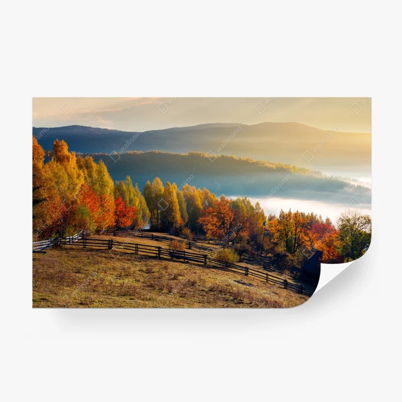 Carta da parati mattina d'autunno sulle colline nebbiose
