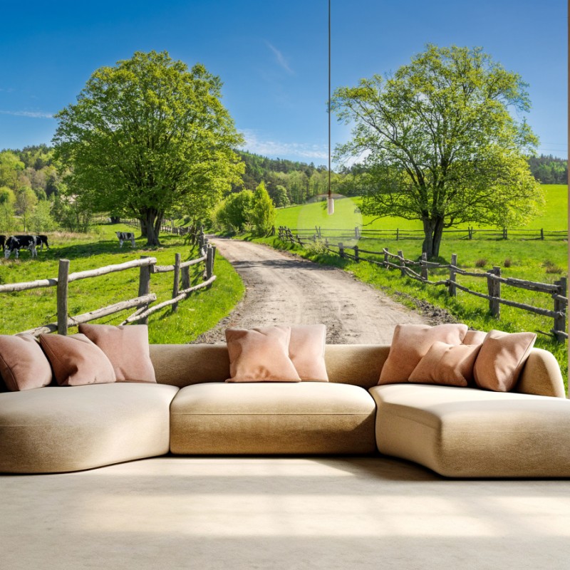 Carta da parati paesaggio rurale primaverile con strada sterrata