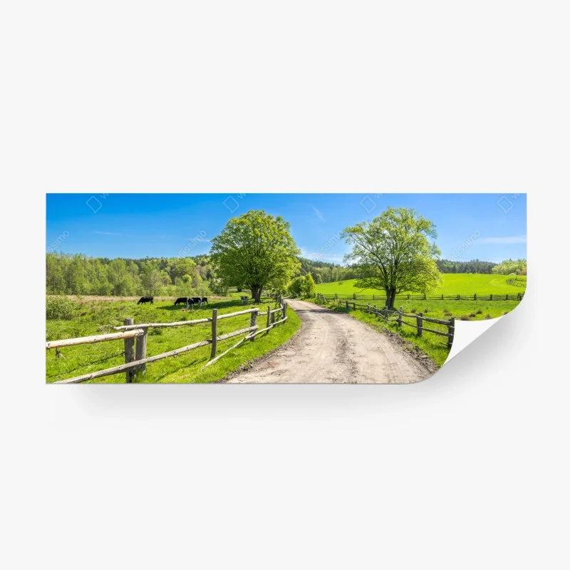 Carta da parati paesaggio rurale primaverile con strada sterrata