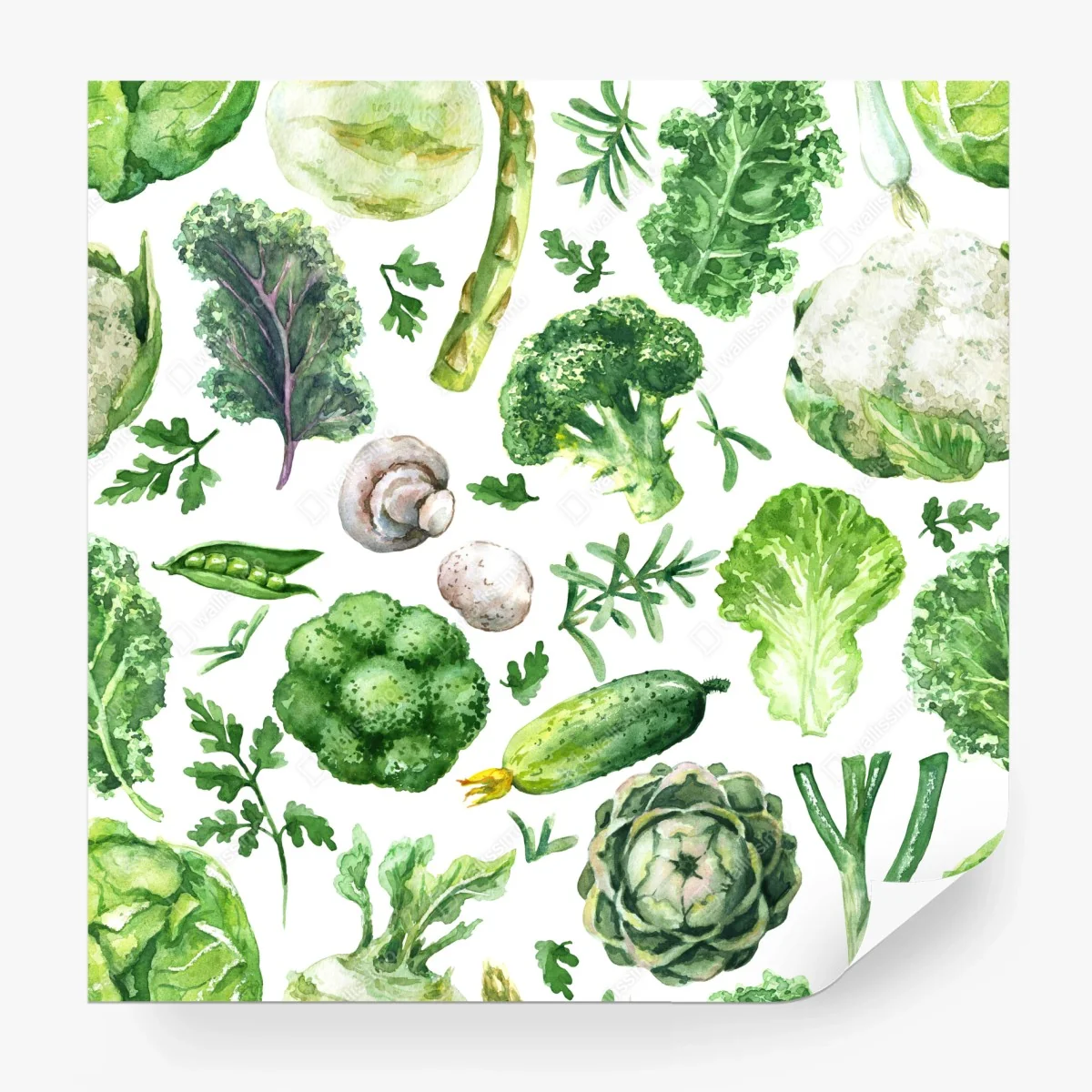 Carta da parati motivo botanico di verdure acquerellate • Wallissimo® Carta da parati motivo botanico di verdure acquerellate • Wallissimo®