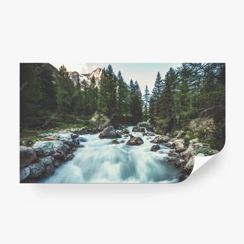 Carta da parati paesaggio fluviale alpino nella Val Ferret