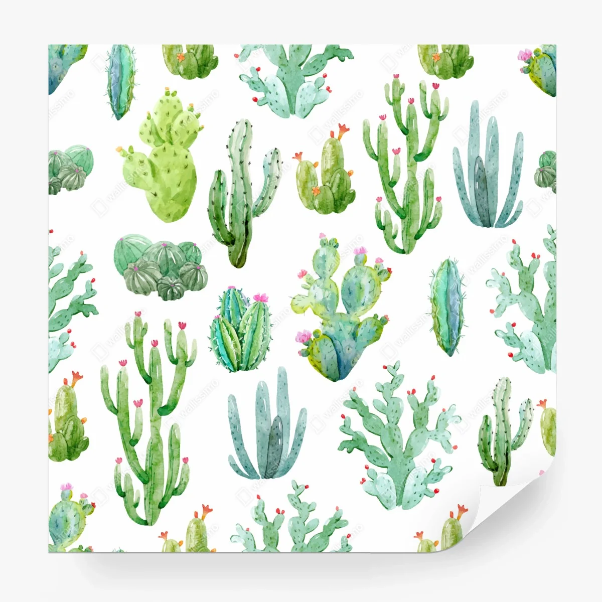 Carta da parati motivo botanico di cactus acquerellati • Wallissimo®