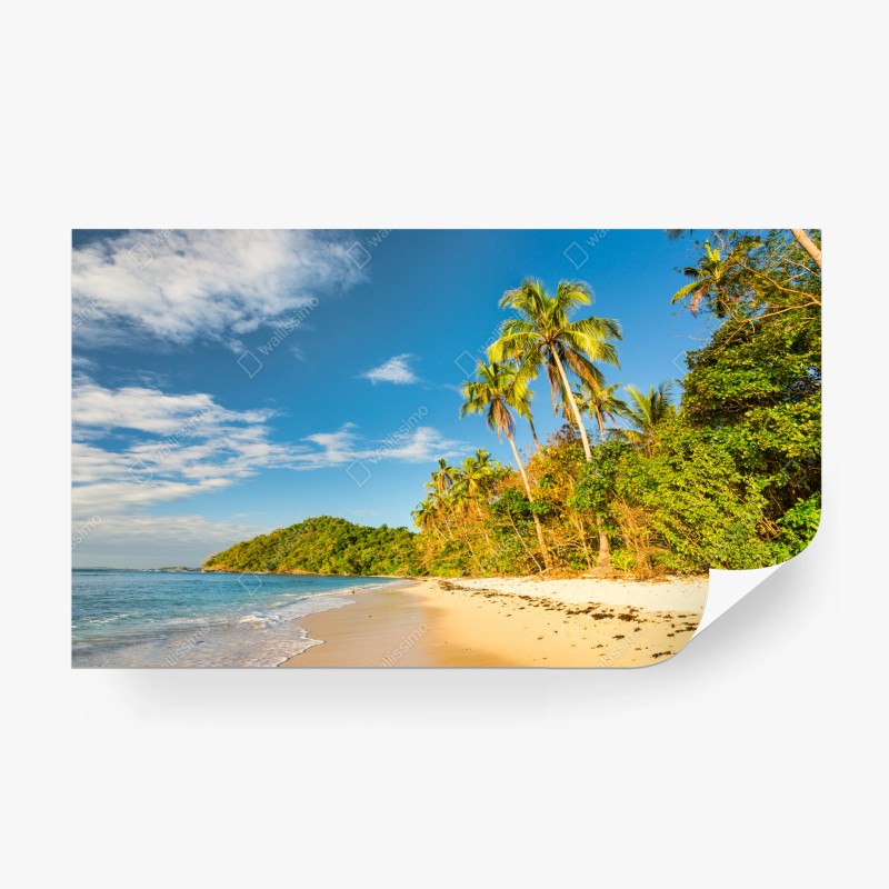 Carta da parati spiaggia tropicale dorata al tramonto