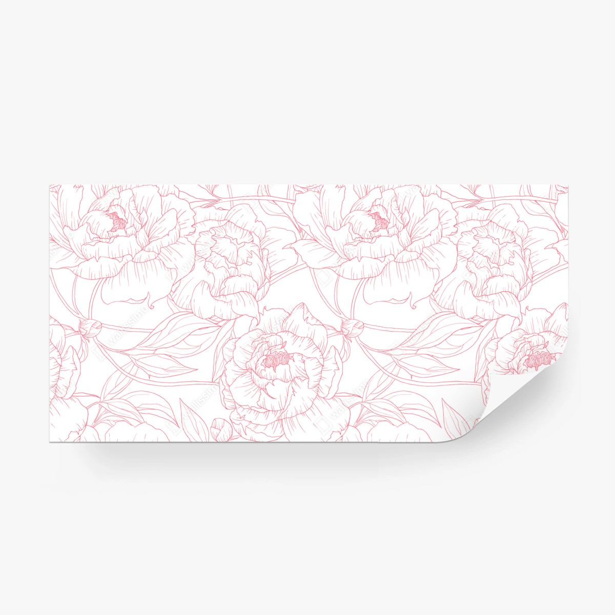 Carta da parati motivo floreale di peonie rosa su sfondo bianco • Wallissimo®