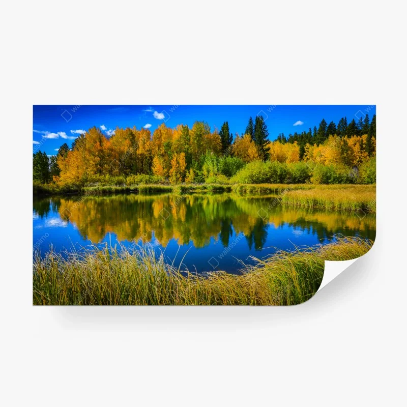 Carta da parati riflessi d'autunno sul lago