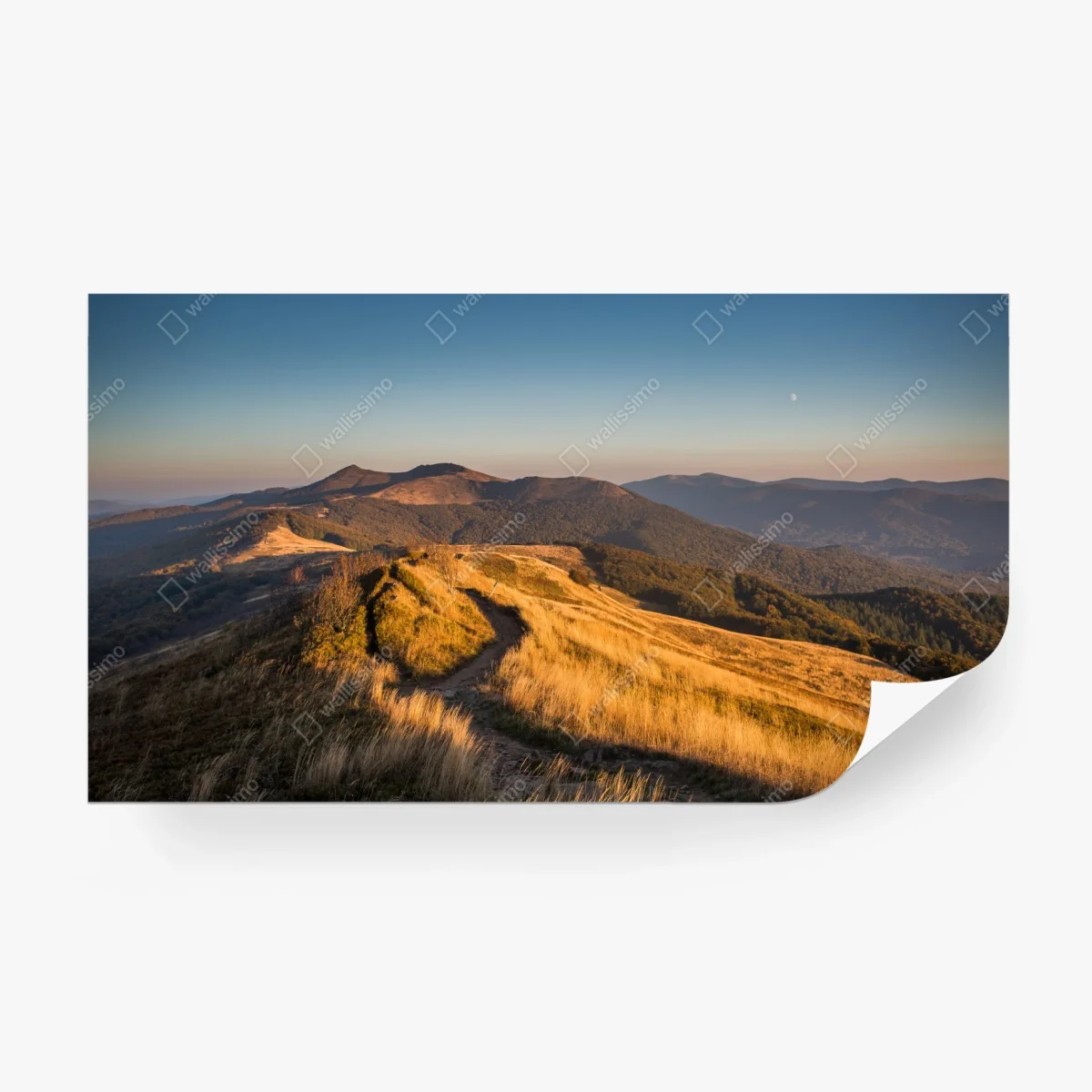 Carta da parati sentiero dorato sulle colline al tramonto • Wallissimo®