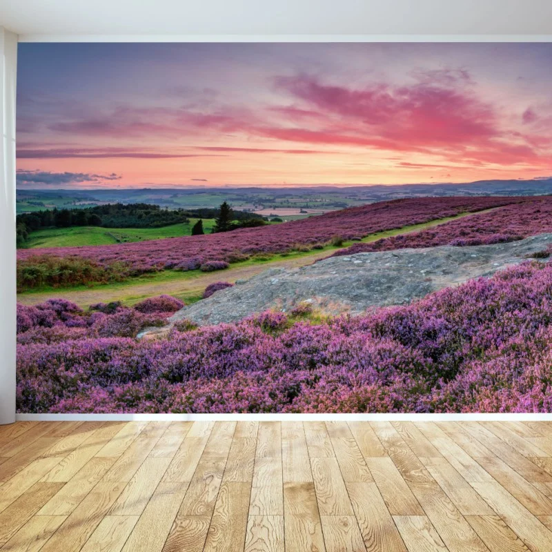 Carta da parati tramonto sulla brughiera di Rothbury con vista sulla valle del Coquet