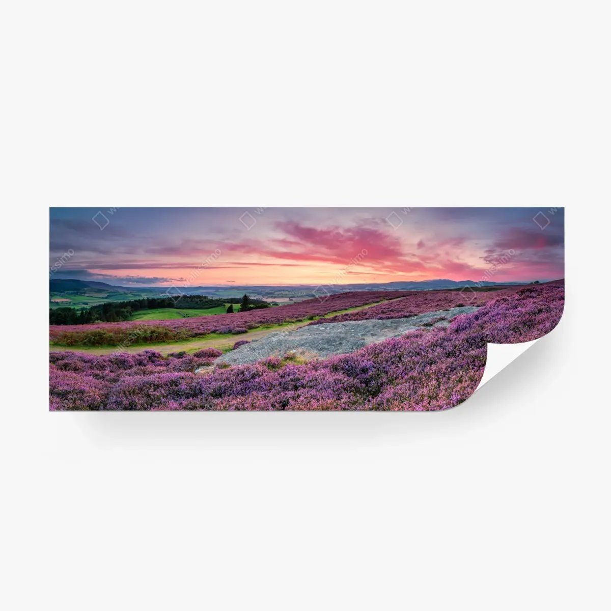 Carta da parati tramonto sulla brughiera di Rothbury con vista sulla valle del Coquet • Wallissimo® Carta da parati tramonto sulla brughiera di Rothbury con vista sulla valle del Coquet • Wallissimo®