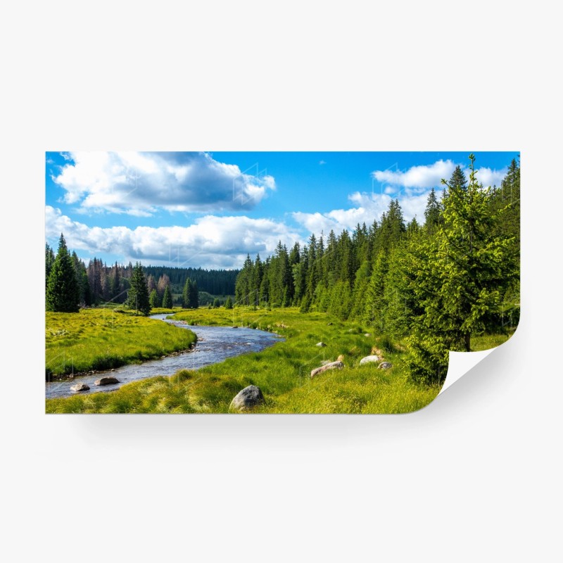 Carta da parati paesaggio fluviale tra i pini