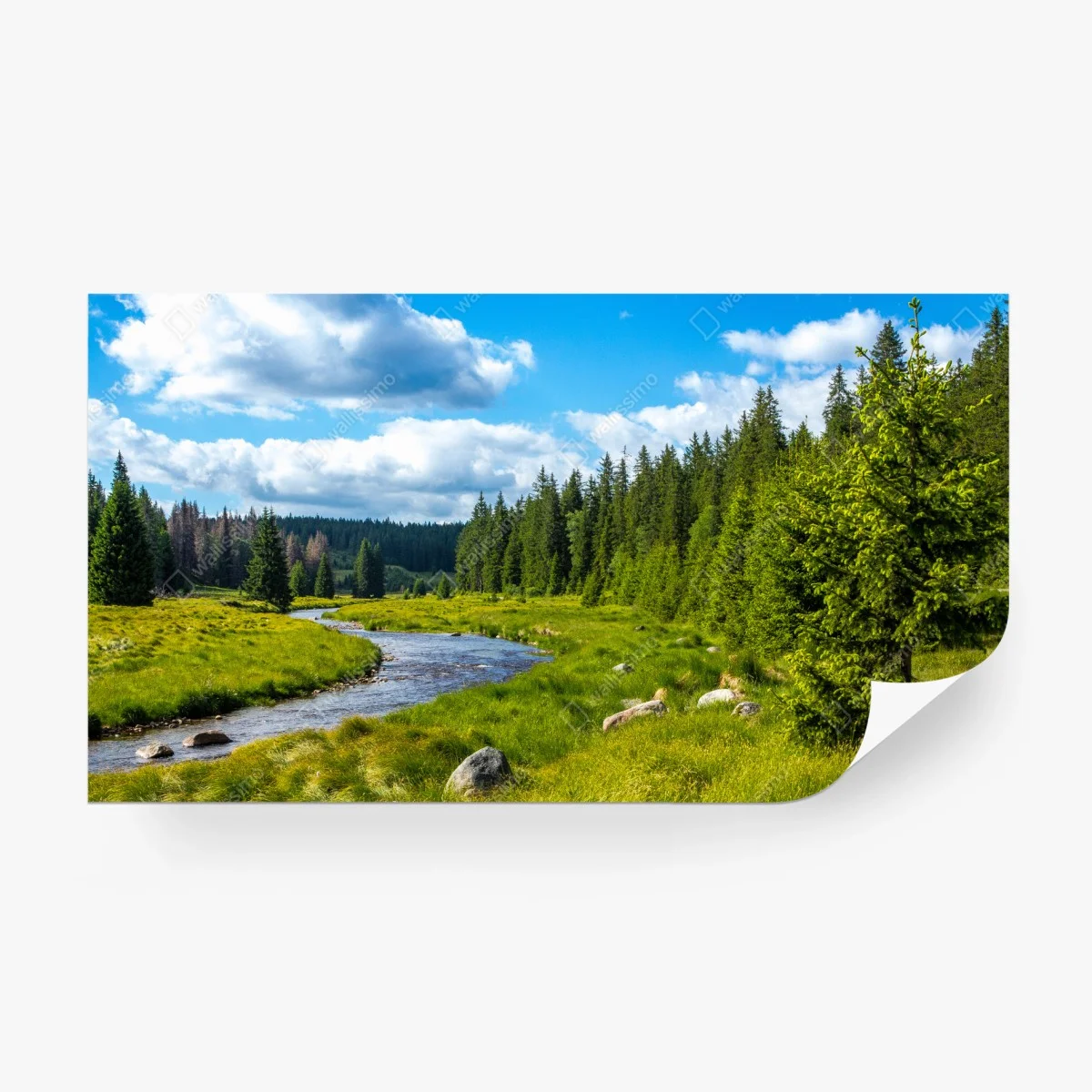 Carta da parati paesaggio fluviale tra i pini • Wallissimo® Carta da parati paesaggio fluviale tra i pini • Wallissimo®