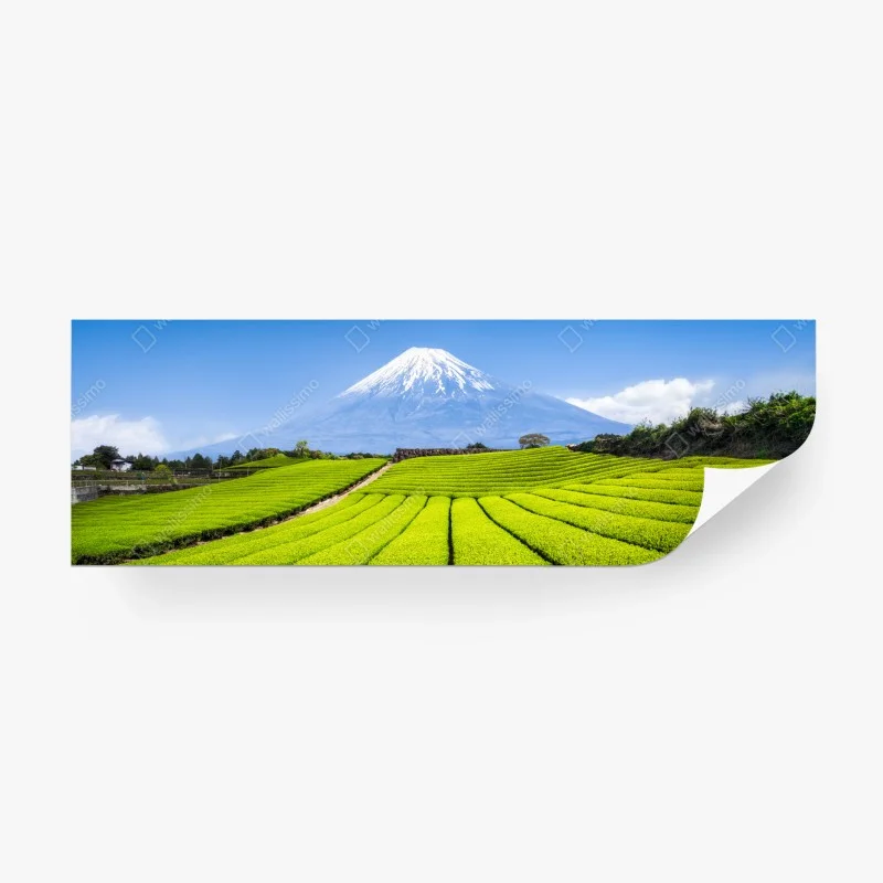 Carta da parati paesaggio verde di Monte Fuji e campi di tè